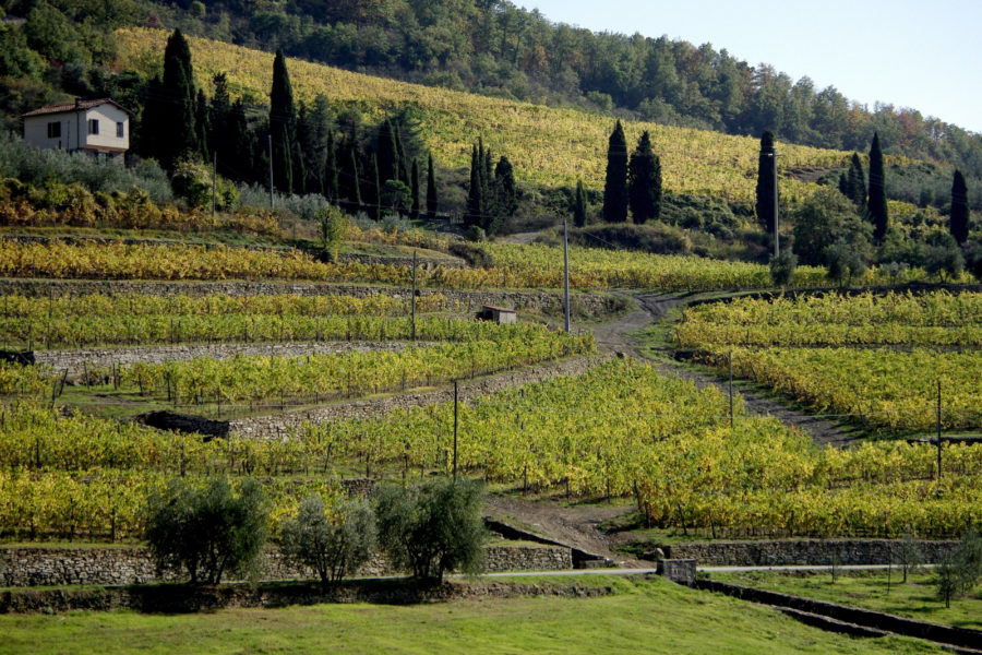 I sistemi terrazzati in Toscana